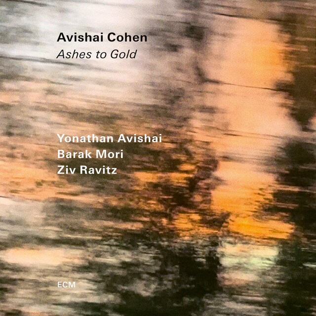 Ashes To Gold LPVinilo
