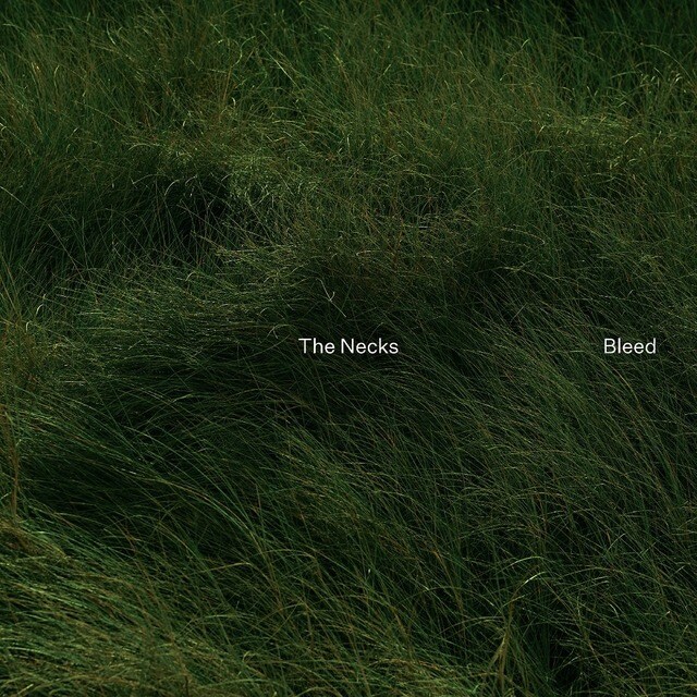 Bleed LPVinilo