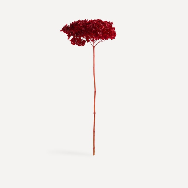 Flor preservada Hortensia Navidad El Corte Inglés