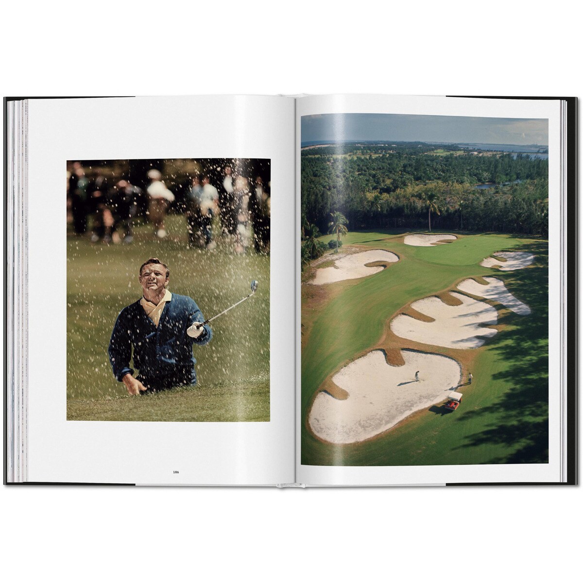 Marvin E. Newman. Photographs 1949&1983 (Capa dura) 6