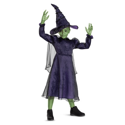 Disfraz Elphaba 