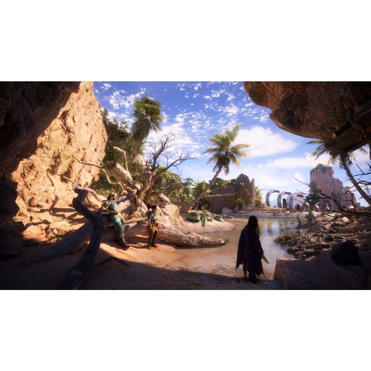 Dragon Age: The Veilguard - PlayStation 5 10