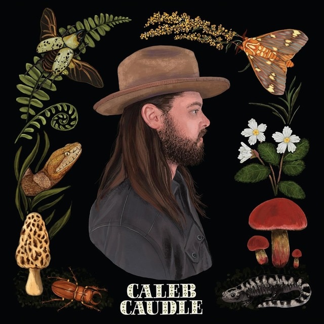 Sweet Critters CD