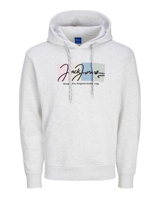 Sudadera con capucha  mangas largas con bordado frontal de hombre