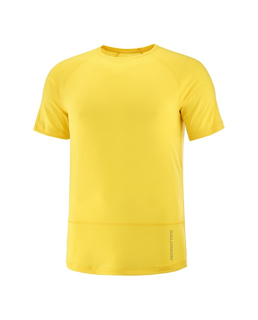 Camiseta de hombre Cross Run SS Tee M Salomon