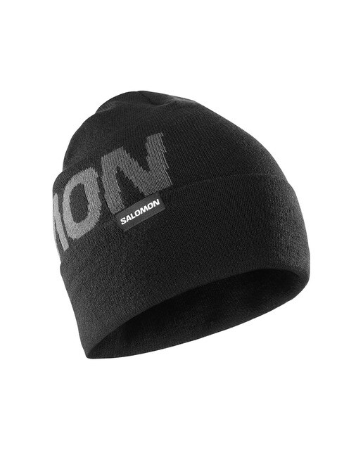 Gorro Hermitage Beanie Salomon