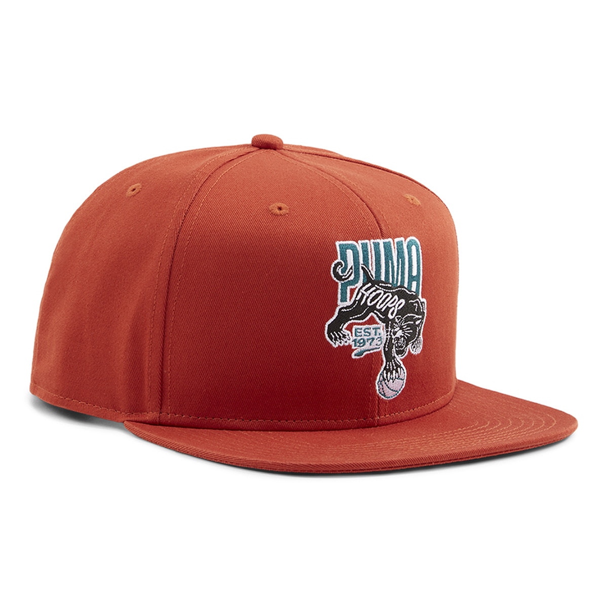 Puma - Gorra unisex Basketball Pro FB Ca Puma.