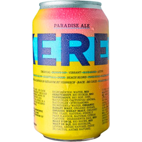 Cerveja Paradise Ale lata 33 cl