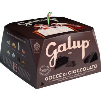 GALUP panettone with dark chocolate chips case 750 g
