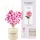 DON ALGODON Ambients Lufterfrischer Duftstäbchen Kirschblüte Behälter 60 ml