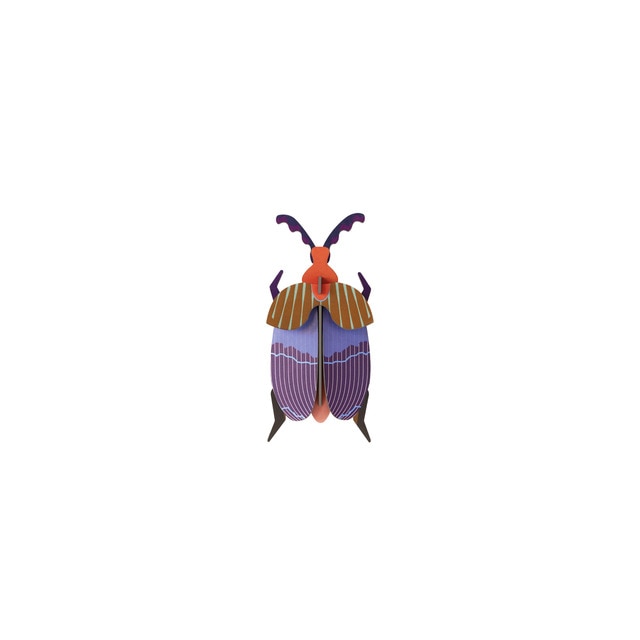 Mural en 3D Studio roof queen beetle.