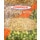 Cimarrom Lentilhas Verdes Secas embalagem 350 g