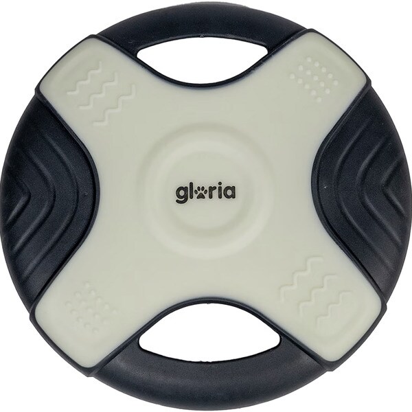 Hunde-Frisbee leuchtet im Dunkeln 25 cm Easy Catch Play and Run 1 Einheit