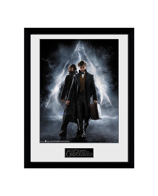 Marco Harry Potter: Animales Fantásticos 2 Dumbledore y Newt Scamander