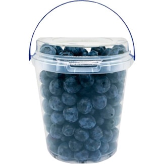 Mirtilos embalagem 500 g