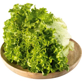 Alface Frisada Peso Aproximado por unidade 300 g