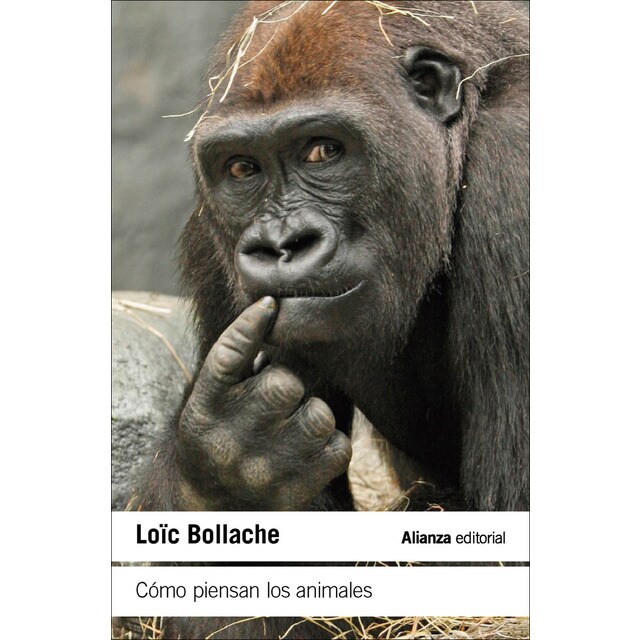 Cómo piensan los animales (Tapa blanda)