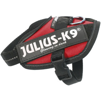 JULIUS arnés para perros color rojo medidas 33-45 cm para perros de 2-5 kg 1 unidad