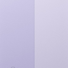 Lavanda