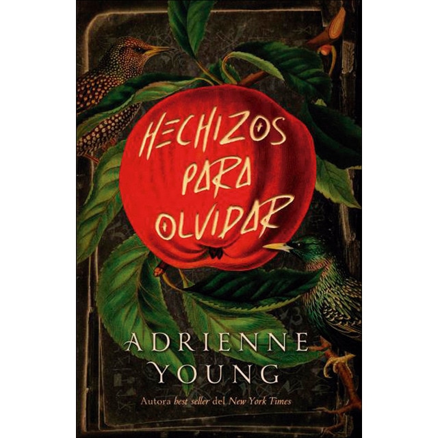 Hechizos para olvidar (Tapa blanda)