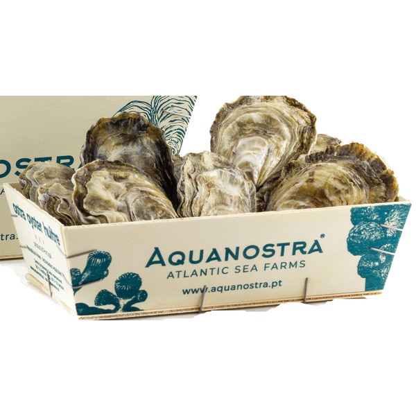 Ostras Portuguesas Super Especiais caixa 2 kg