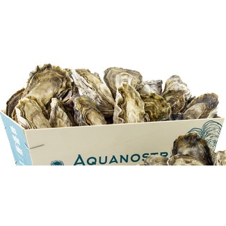 Ostras Portuguesas Super Especiais caixa 5 kg