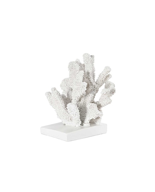 2 Sujetalibros coral 25x20x18 cm