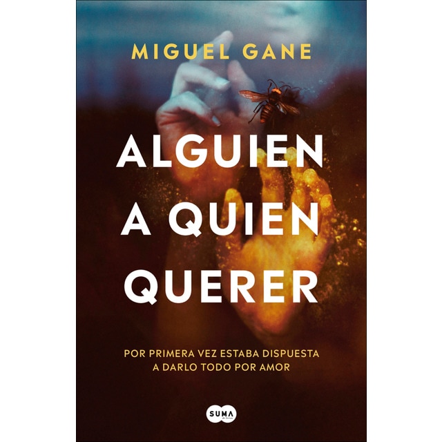 Alguien a quien querer (Tapa blanda)