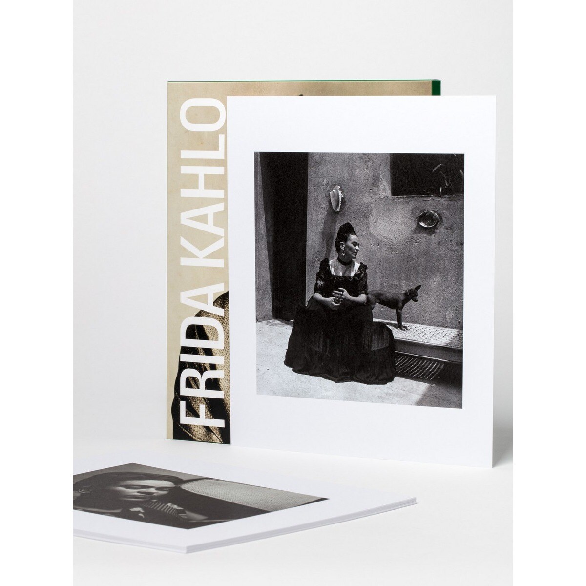 Postal frida kahlo 8
