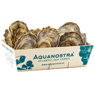 Aquanostra Ostras Portuguesas Super Especiais em Caixa de Madeira Peso Aproximado embalagem 1 kg
