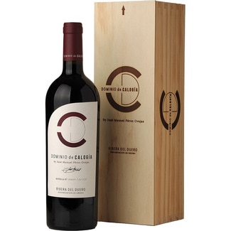 DOMINIO DE CALOGIA Reserva red wine DO Ribera del Duero magnum 1,5 l
