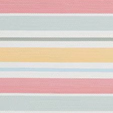 Multicolor
