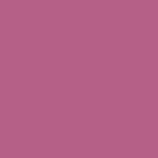 Fuchsia Fling