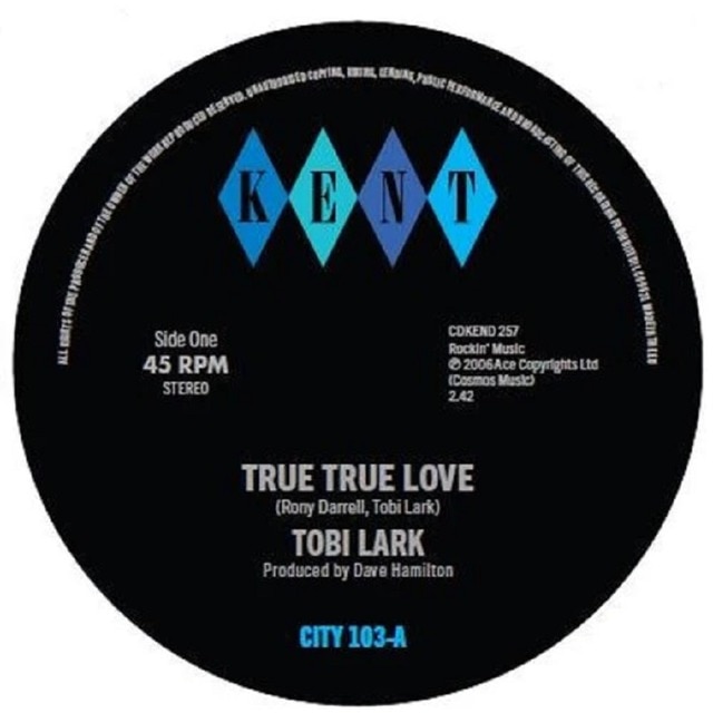 True True Love True True Love - Instrumental (LP-Vinilo).