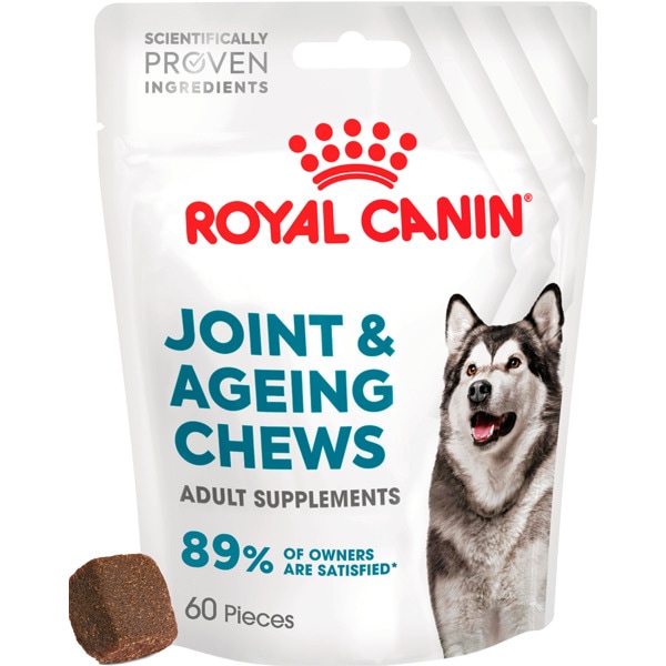 Suplemento para Cão embalagem 240 g