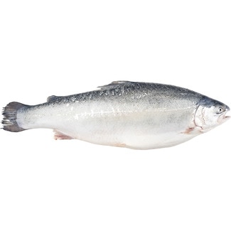 Trucha nórdica por medias o enteras peso aproximado pieza 2-3 kg