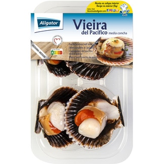 ALIGATOR vieira del Pacífico media concha Behälter 165 g