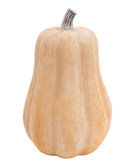 Calabaza terracota