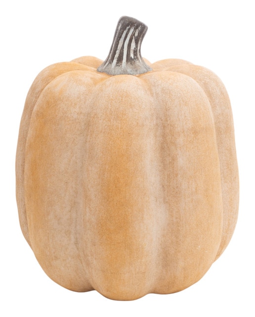 Calabaza terracota