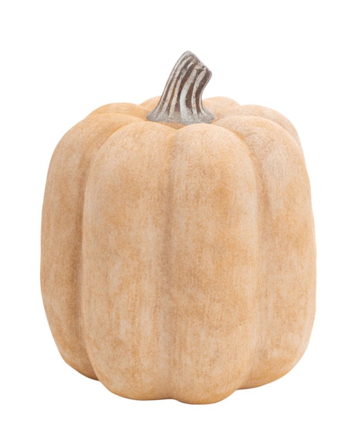 Calabaza terracota