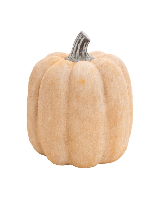 Calabaza terracota