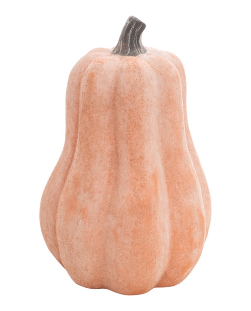 Calabaza terracota