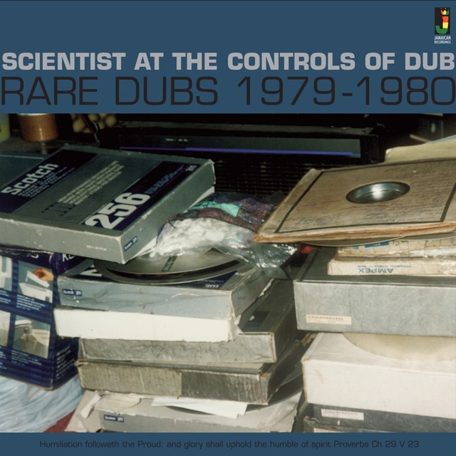 At The Controls Of Dub Rare Dub (LP-Vinilo).