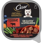 wet dog food with blueberries and vegetables tub 100 g