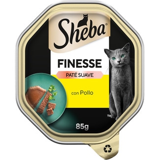 SHEBA Feuchtfutter für erwachsene Katzen Finesse Hühnchen Becher 85 g