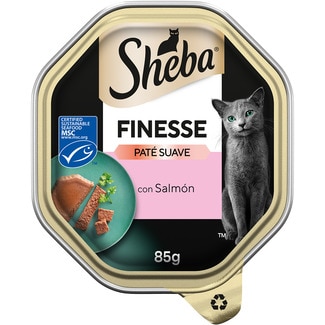 SHEBA Feuchtfutter für ausgewachsene Katzen Finesse Lachsgeschmack Becher 85 g