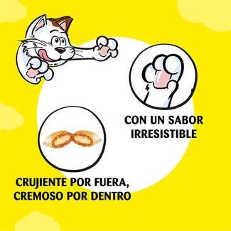 Snack para gatos adultos líquido con salmón 4 envase 10 g - Catisfactions