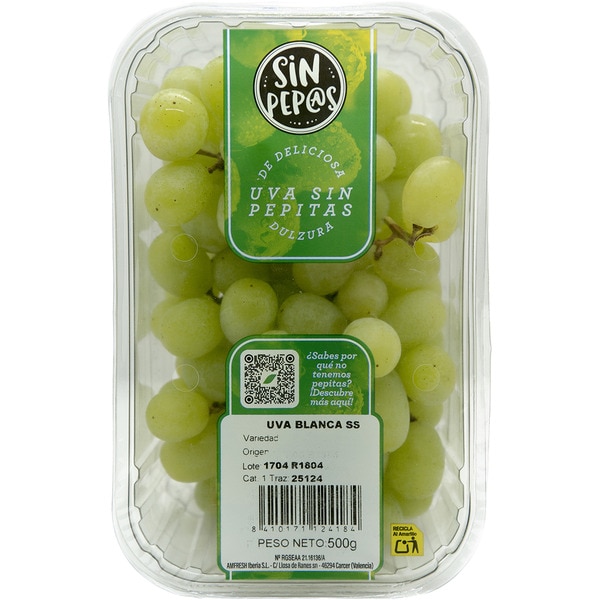 uva blanca sin semilla tarrina 500 g