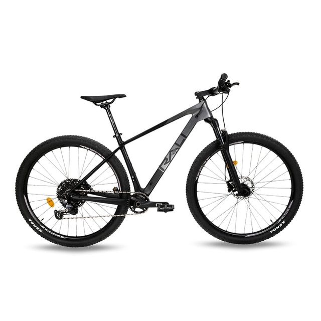 Bicicleta de montaña C6 29" Rali