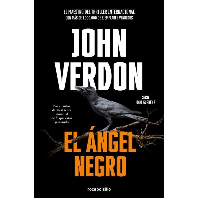 El ángel negro (Serie David Gurney 7) (Tapa blanda)
